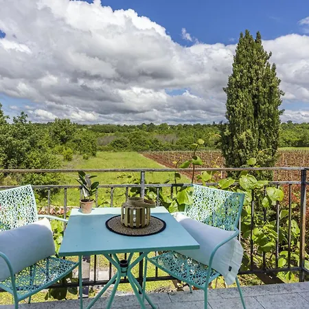 Le Chateau Near Porec For 12 People With Private Heated Pool - Pet Friendly Villa *